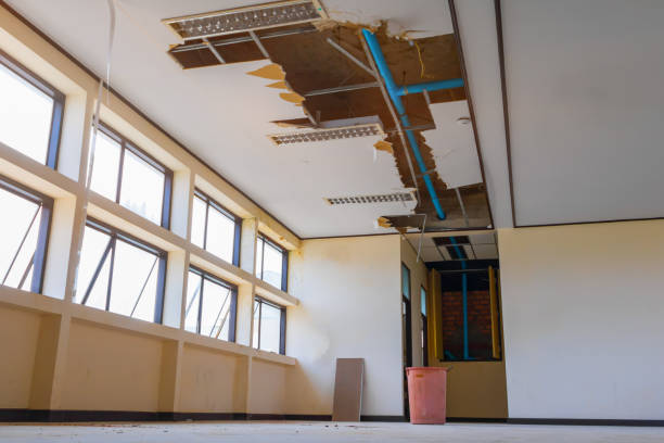 Best Professional water damage repair  in Fresno, CA