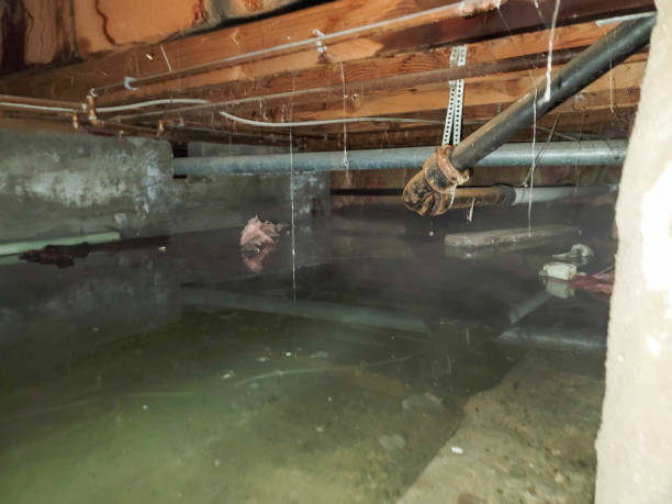 Best Ceiling water damage repair  in Fresno, CA