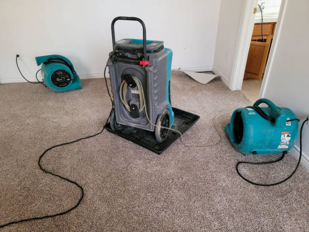 Best Water damage contractors near me  in Fresno, CA
