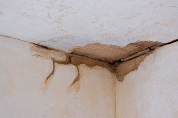 Trusted Fresno, CA Water damage restoration Experts