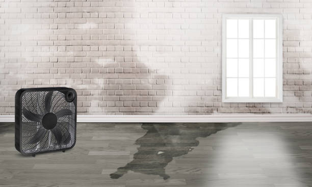 Best 24-hour water damage restoration  in Fresno, CA
