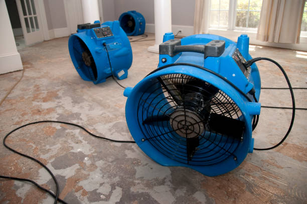 Best Flood damage cleanup  in Fresno, CA
