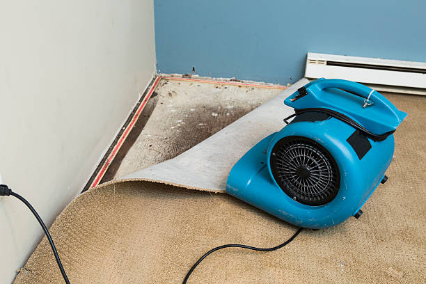Best Commercial water damage restoration  in Fresno, CA